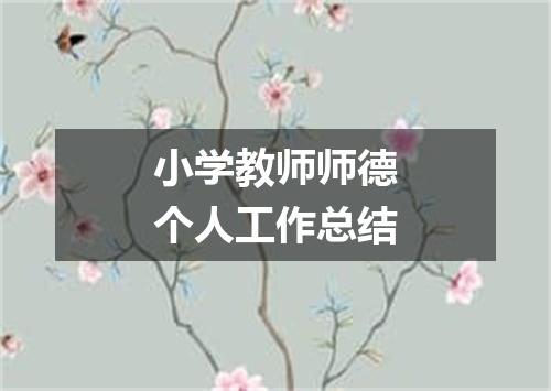 小学教师师德个人工作总结