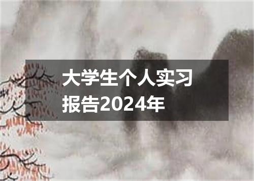 大学生个人实习报告2024年