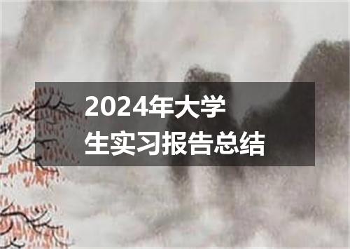 2024年大学生实习报告总结