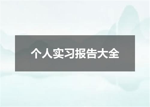 个人实习报告大全