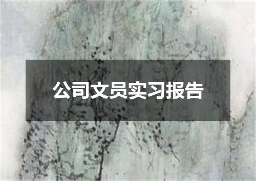 公司文员实习报告