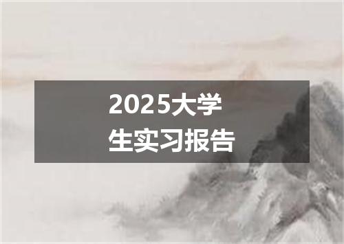2025大学生实习报告