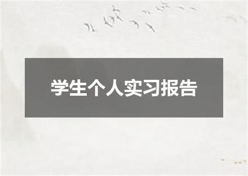 学生个人实习报告