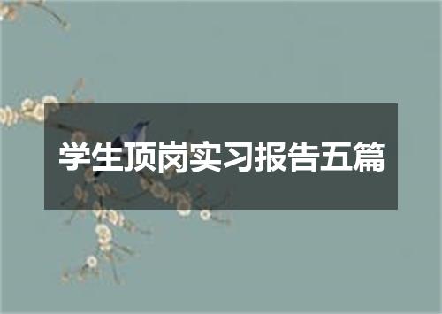 学生顶岗实习报告五篇