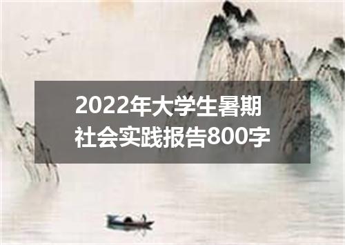 2022年大学生暑期社会实践报告800字