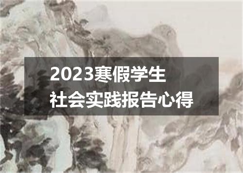 2023寒假学生社会实践报告心得