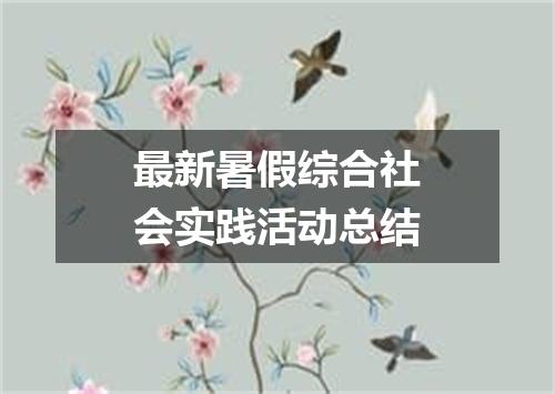 最新暑假综合社会实践活动总结