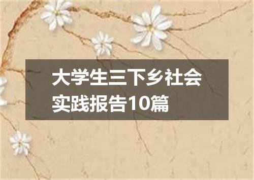大学生三下乡社会实践报告10篇