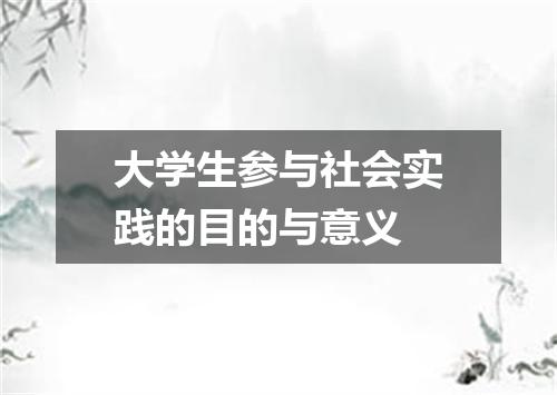 大学生参与社会实践的目的与意义