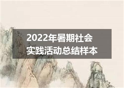 2022年暑期社会实践活动总结样本