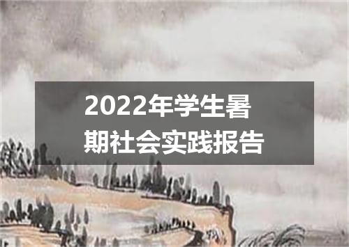 2022年学生暑期社会实践报告