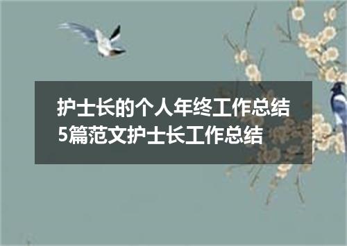 护士长的个人年终工作总结5篇范文护士长工作总结