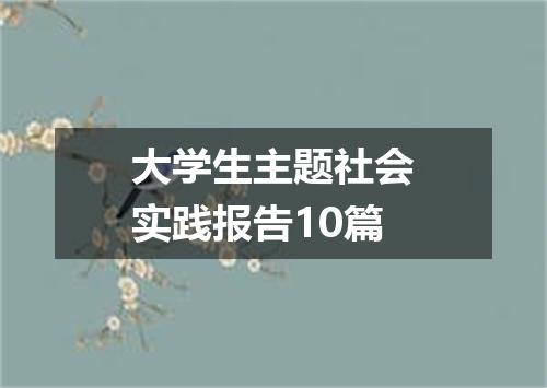 大学生主题社会实践报告10篇