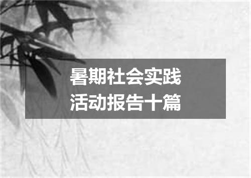 暑期社会实践活动报告十篇