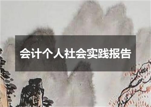 会计个人社会实践报告