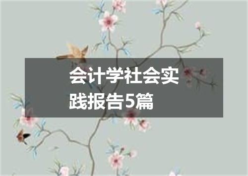 会计学社会实践报告5篇