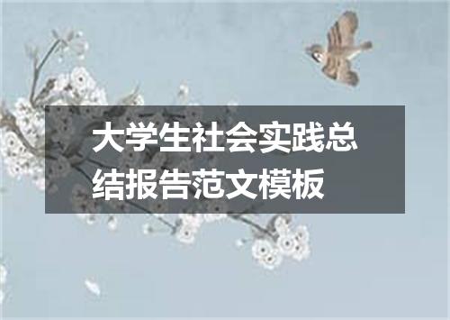 大学生社会实践总结报告范文模板