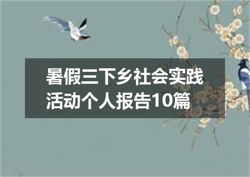 暑假三下乡社会实践活动个人报告10篇