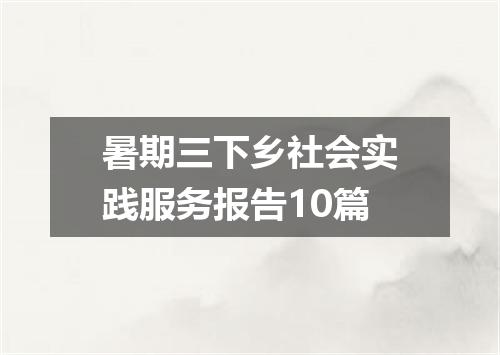 暑期三下乡社会实践服务报告10篇