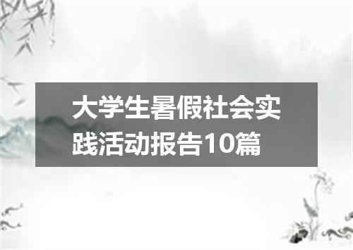 大学生暑假社会实践活动报告10篇
