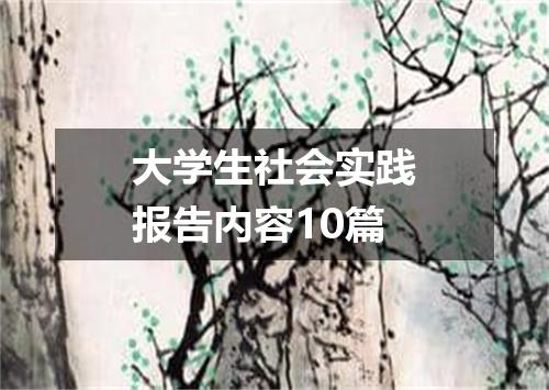 大学生社会实践报告内容10篇