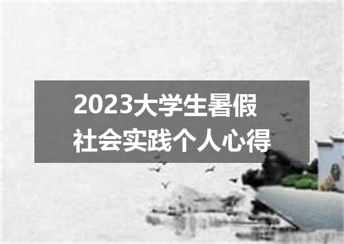 2023大学生暑假社会实践个人心得
