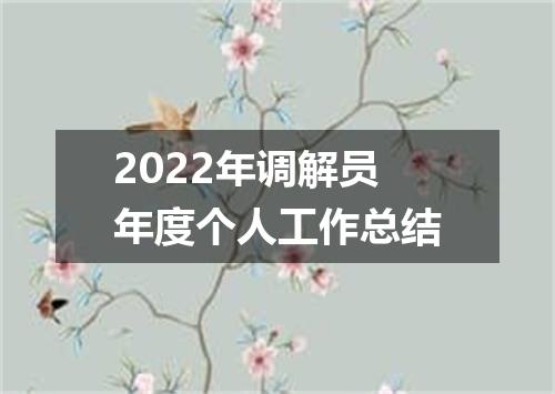 2022年调解员年度个人工作总结