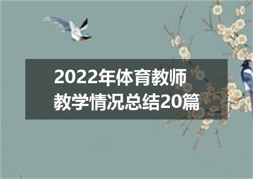 2022年体育教师教学情况总结20篇
