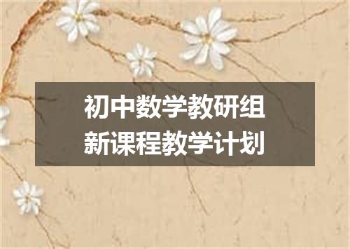 初中数学教研组新课程教学计划