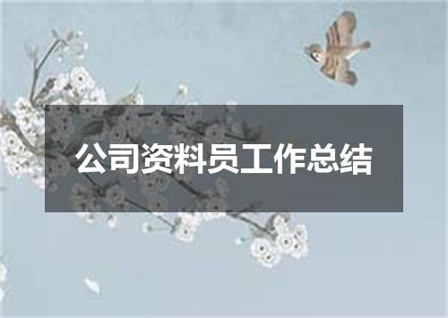 公司资料员工作总结