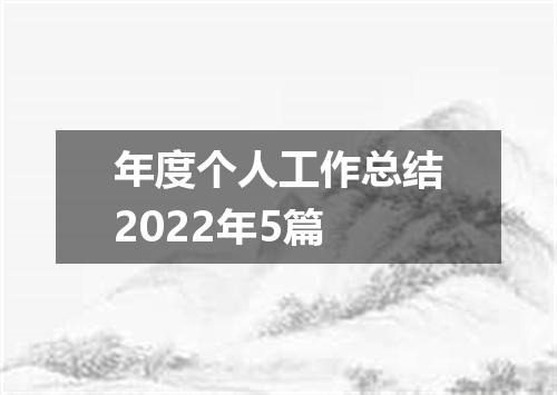 年度个人工作总结2022年5篇