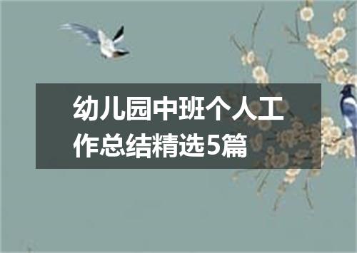 幼儿园中班个人工作总结精选5篇