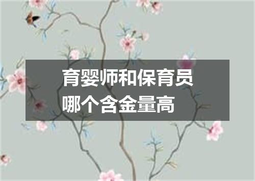 育婴师和保育员哪个含金量高