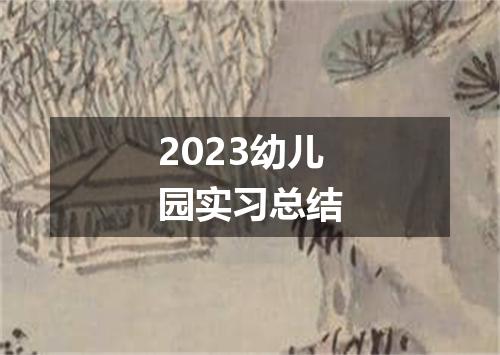 2023幼儿园实习总结