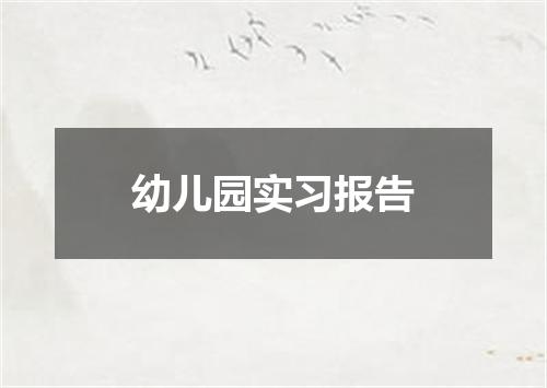 幼儿园实习报告
