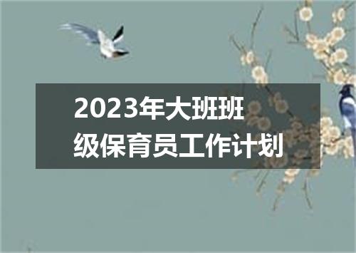 2023年大班班级保育员工作计划
