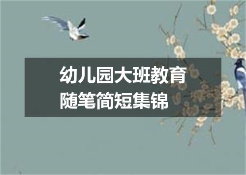 幼儿园大班教育随笔简短集锦