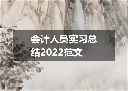 会计人员实习总结2022范文