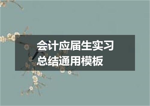 会计应届生实习总结通用模板
