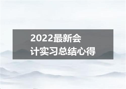 2022最新会计实习总结心得