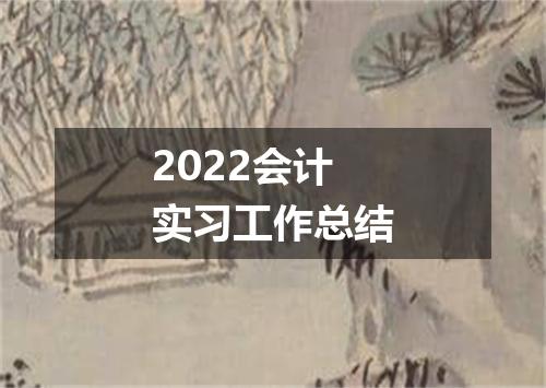 2022会计实习工作总结