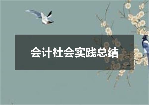 会计社会实践总结