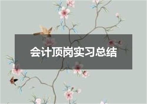 会计顶岗实习总结