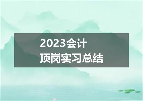 2023会计顶岗实习总结