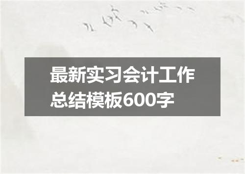 最新实习会计工作总结模板600字