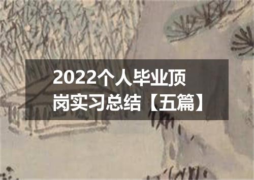 2022个人毕业顶岗实习总结【五篇】