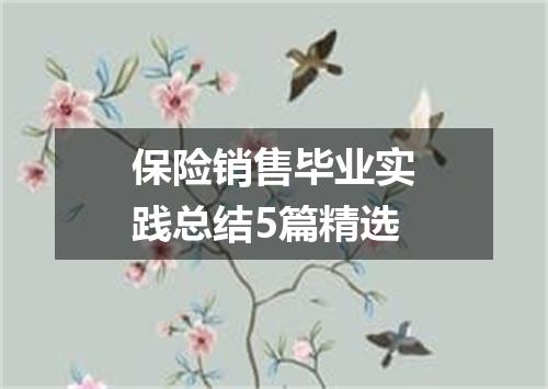 保险销售毕业实践总结5篇精选