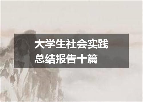 大学生社会实践总结报告十篇