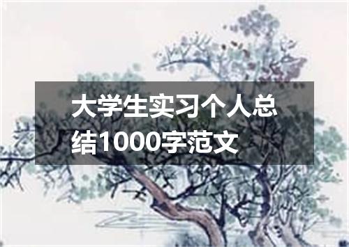 大学生实习个人总结1000字范文