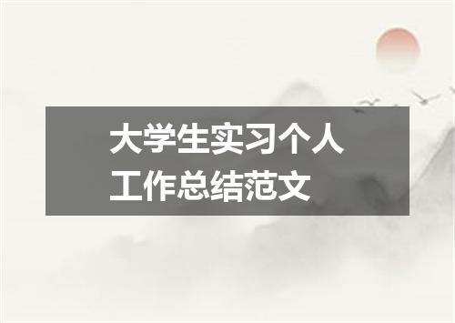 大学生实习个人工作总结范文